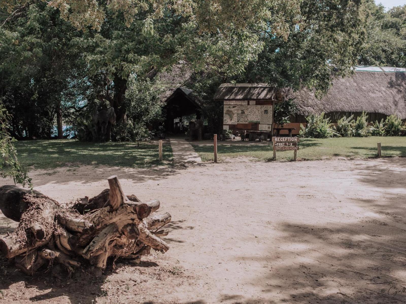 Ndhovu Safari Lodge Mahango Ngoại thất bức ảnh